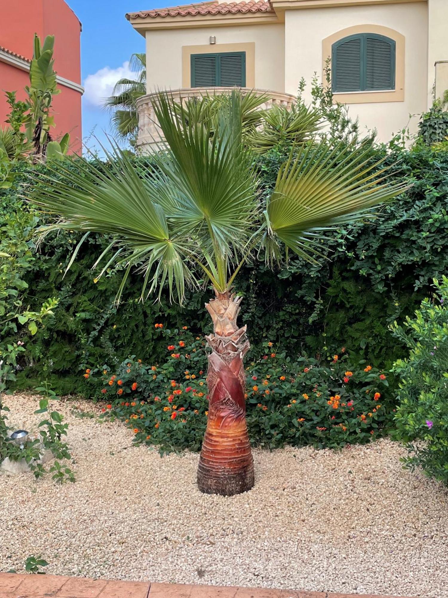 Сasa de vacaciones El Paraiso Sa Ràpita